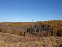 -塞罕坝国家级自然保护区