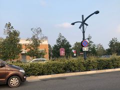 -迪士尼乐园停车场