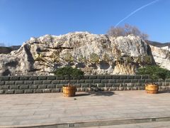 -北京西山国家森林公园