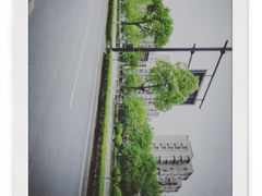 -哥老官重庆美蛙鱼头(龙湖杭州金沙天街店)