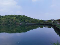 -杭州半山国家森林公园