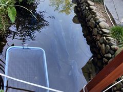 -万景饭店·鱼街农家菜