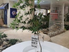 -1/4 ONE QUARTER COFFEE LAB(朝阳大悦城店)
