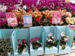 -盒马鲜生(丁香国际店)