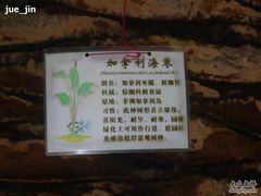 P1000633-绿色时代大酒店