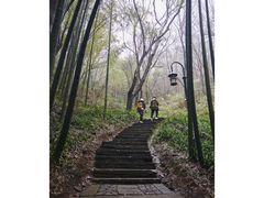 -宝石山