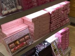 -关西国际机场直营免税店
