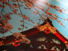 -万岁寿司(芳村店)