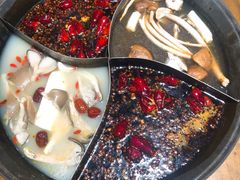 -白乐天毛肚火锅馆(南滨路店)