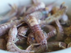 -南沙十九涌渔人码头-南门