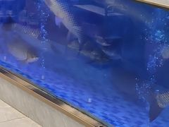 -粤顺渔坊·中山脆肉鲩火锅(清湖店)