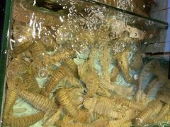 -越百海海鲜蒸锅(乐山店)