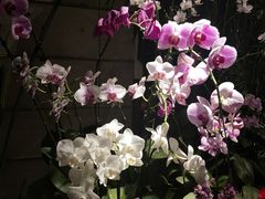 -春暖花开(西溪店)