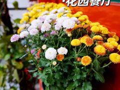 -万柳阁小馆·花园餐厅(龙潭湖店)