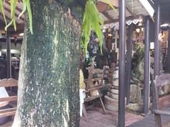 大堂-自然餐厅(Phuket)