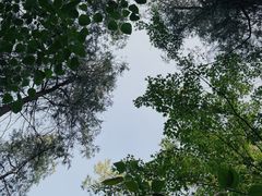 -云龙山