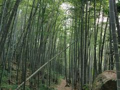 -鸡枕山