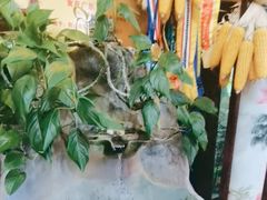 -食德喜·阳山鸡王食研基地