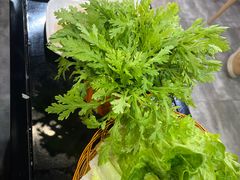 -古乐牛香·鲜牛肉牛杂火锅(五一中路店)