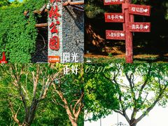 -塘沽森林公园