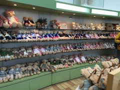 -济州岛泰迪熊博物馆