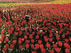 -廊坊文化艺术中心