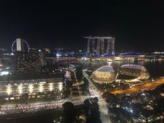 -新加坡瑞士史丹福酒店