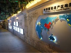 iphone_upload_pic-青岛葡萄酒博物馆