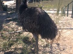 -新疆天山野生动物园