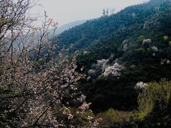 -蒙山大佛景区