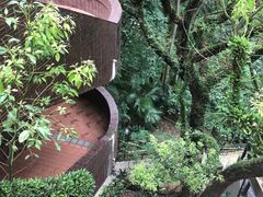 -香港大学