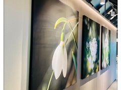 -奈雪的茶(赛格店)