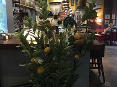 -咖法森林·咖啡  酒吧(天河店)