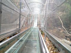 -牛鱼嘴原始生态风景区