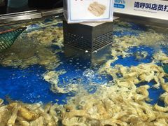 皮皮虾-盒马鲜生(莱蒙都会店)