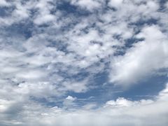 -北京东方普罗旺斯薰衣草庄园