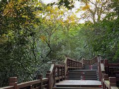 -紫金山山顶公园
