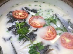 -全乐鱼馆·淳牌有机鱼直营店