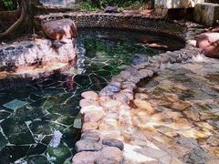 -三亚珠江南田温泉度假区