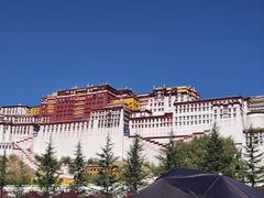 -布达拉宫