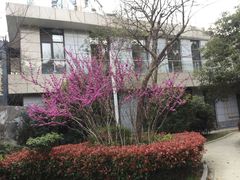 -大宁郁金香公园-停车场