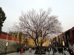 -大雁塔北广场音乐喷泉