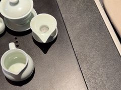 -金狮麟·宋宴