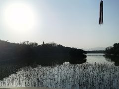 -江心屿景区