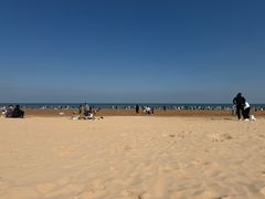 -日照海滨国家森林公园