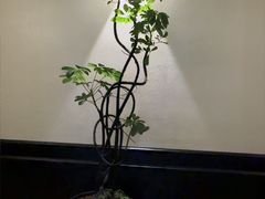 -涟LIAN·泰式按摩·MASSAGE·SPA(深业上城店)