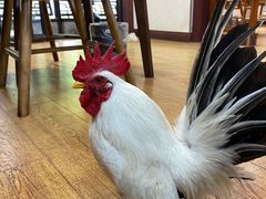 -观桥阁(锦溪店)