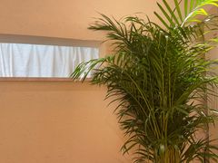 -五代同糖·甜品糖水店(河下古镇店)