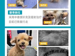 -美联众合动物医院·24h转诊中心