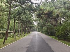 -北陵公园